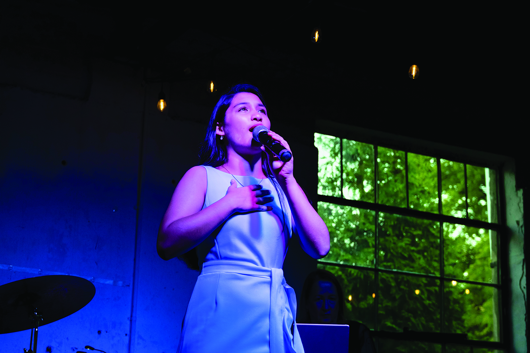 The Link Theatre Company Presents "A Night of Stars" 